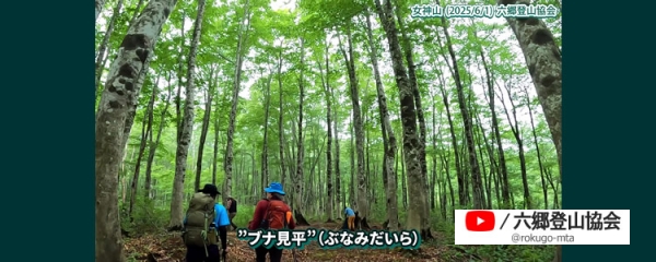 250601b.jpg